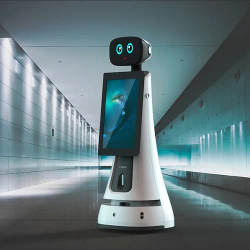 CPJROBOT Yapay Zeka Zeki İnsansı Hoşgeldin Robotu PPBot