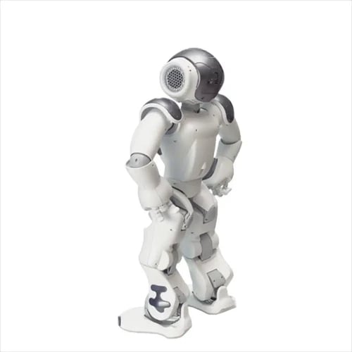 İkinci resim of ZoraBots Nao V6 ve Zora Çözümü