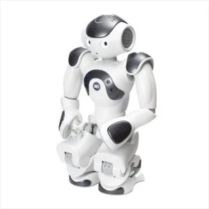 ZoraBots Nao V6 ve Zora Çözümü