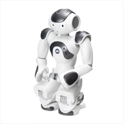 ZoraBots Nao V6 ve Zora Çözümü
