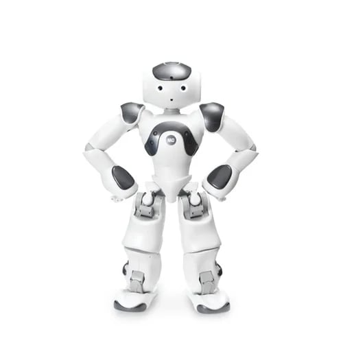 İkinci resim of ZoraBots Nao V6 w/ Zora Solution